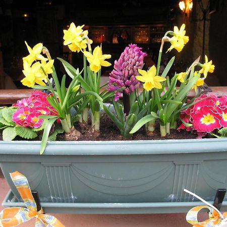 Hotel Auberge des Trois Châteaux à Eguisheim Extérieur photo