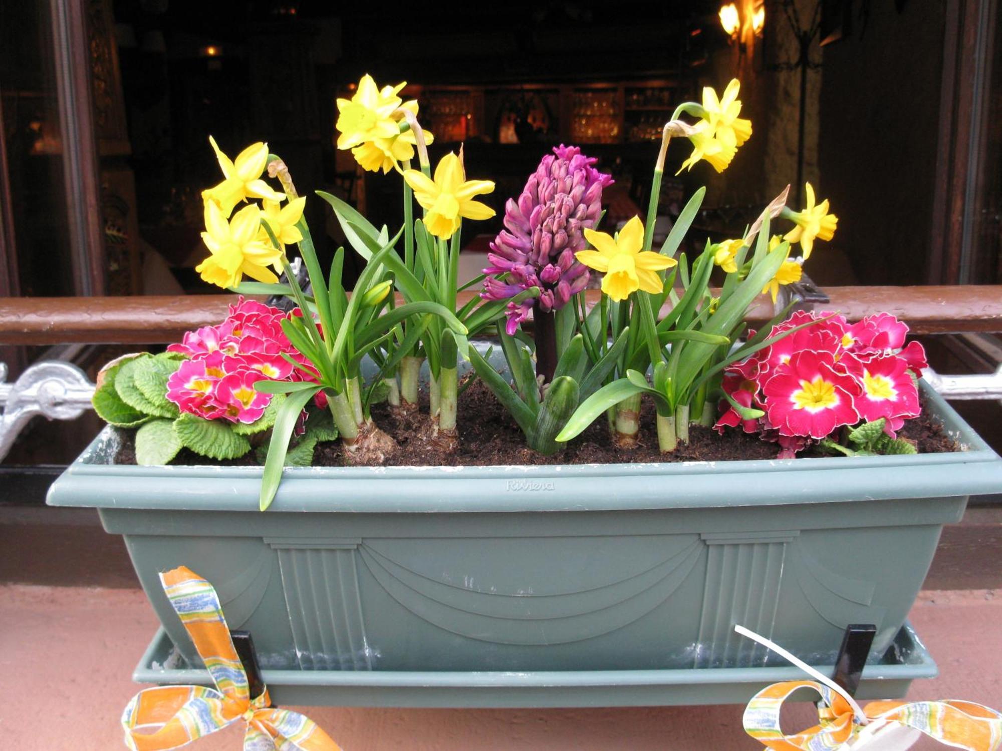 Hotel Auberge des Trois Châteaux à Eguisheim Extérieur photo